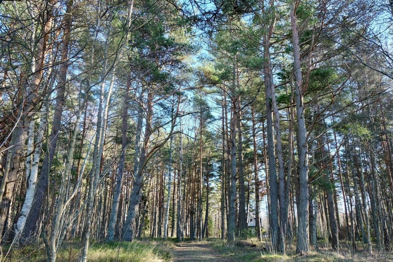 Tahkuna Puhkekeskus Hiiumaa 外观 照片